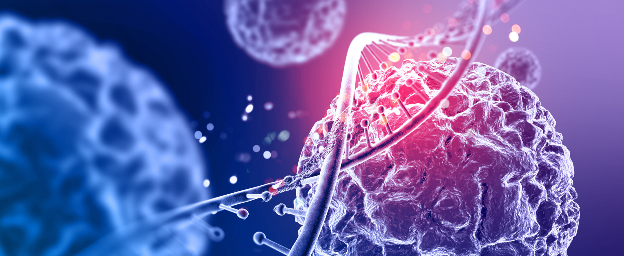 Unlocking the Code: How Leukemia is Diagnosed and Evaluated